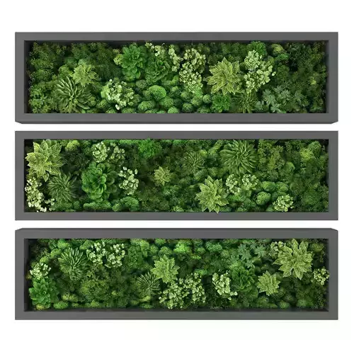 Vertical garden 223