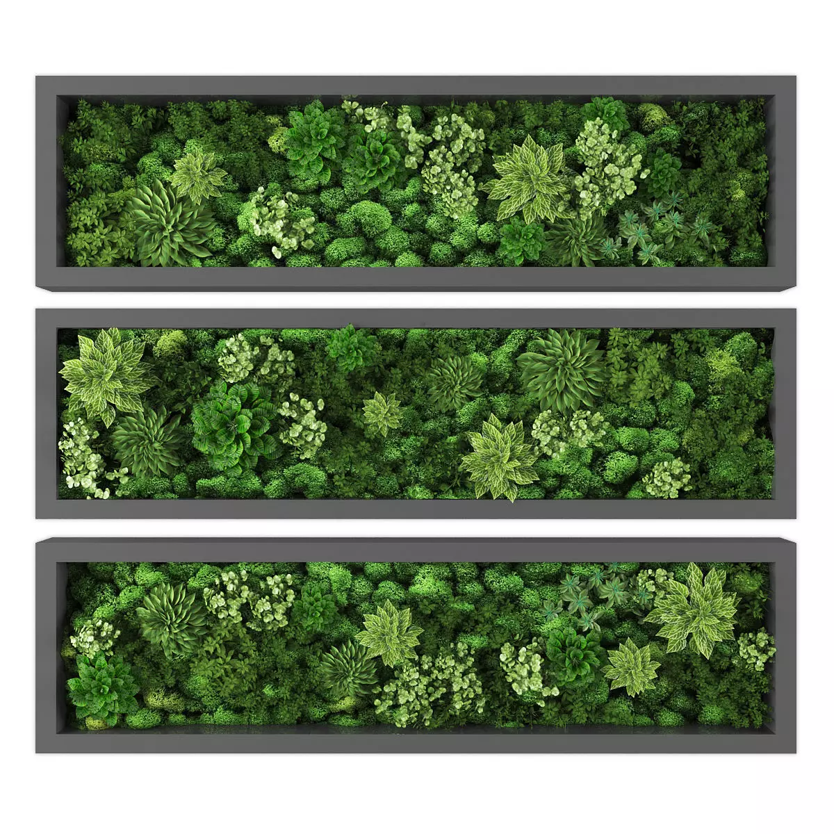 Vertical garden 223 Low-poly 3D model_0
