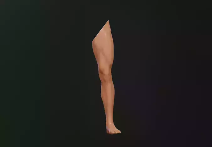 Male Leg 3D model