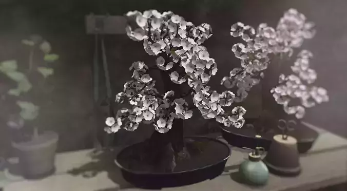 Sakura Bonsai Tree - Cherry Blossom Bonsai 3D model