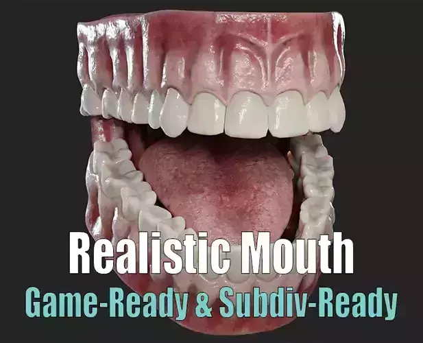 Realistic Mouth Jaw and Teeth