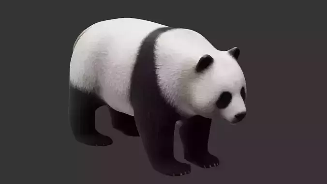 panda