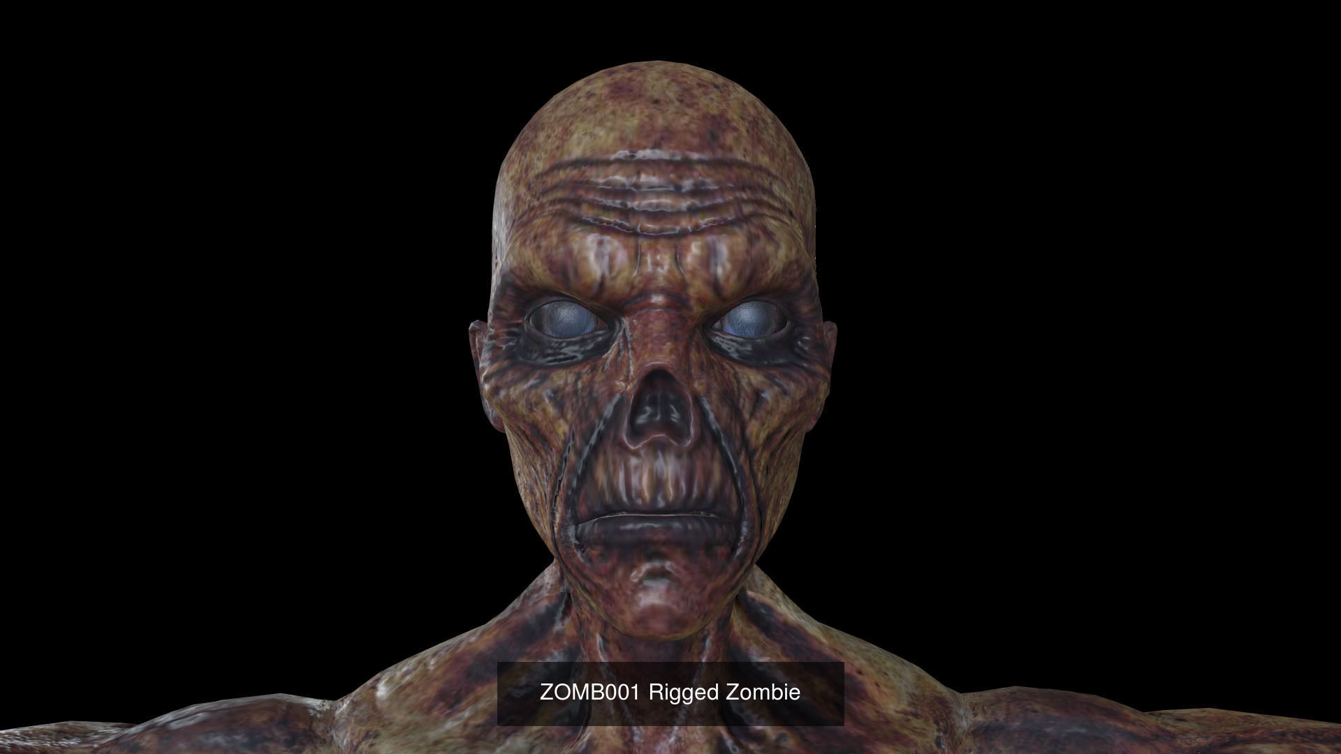 Zombie 3D Model Collection_6