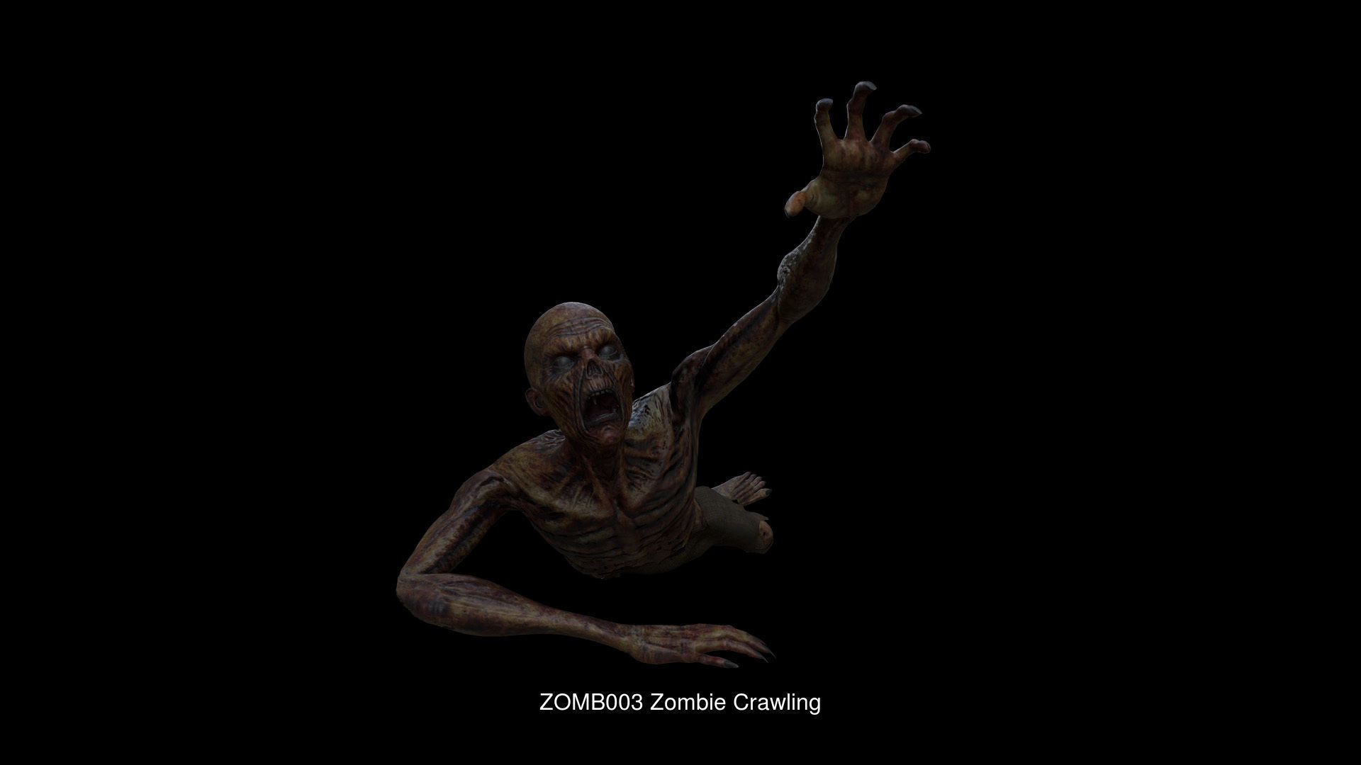 Zombie 3D Model Collection_9