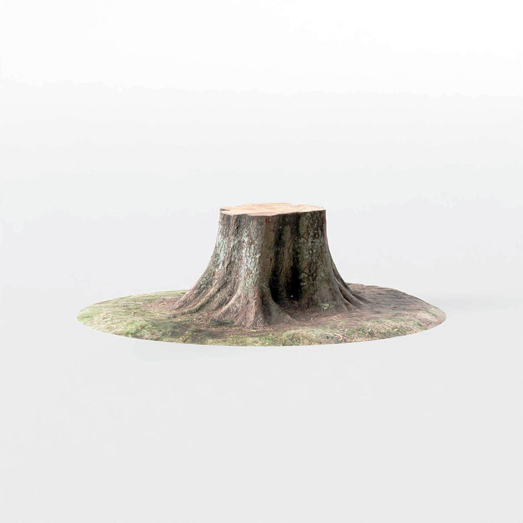 Tree Stumps 6 Photoscanned Low-Poly Low-poly 3D model_2