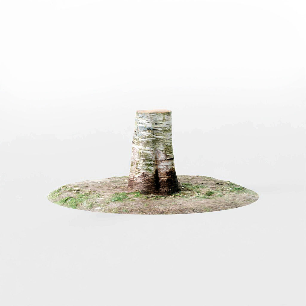 Tree Stumps 6 Photoscanned Low-Poly Low-poly 3D model_5