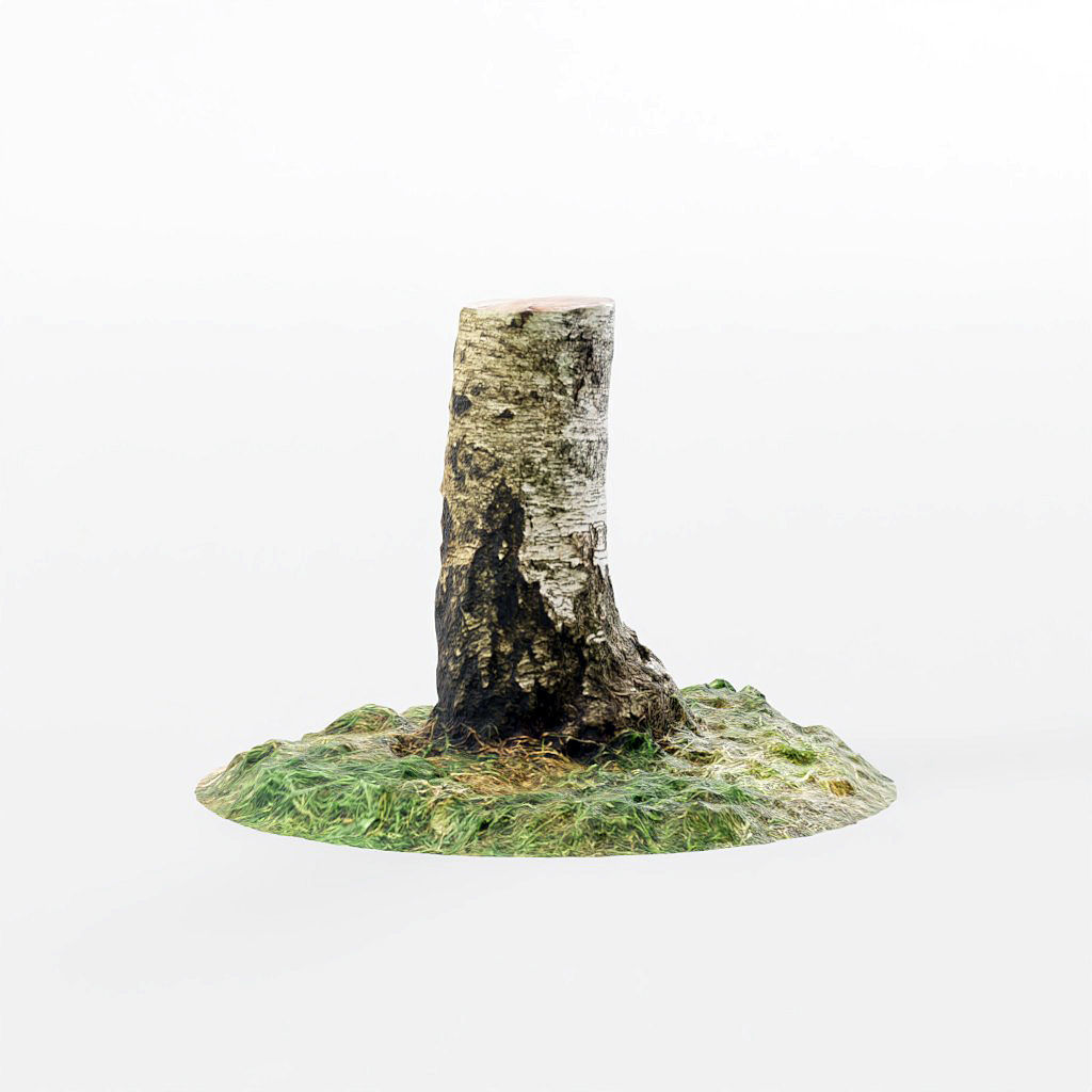 Tree Stumps 6 Photoscanned Low-Poly Low-poly 3D model_6