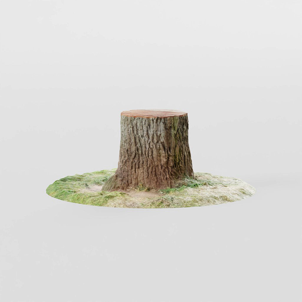 Tree Stumps 6 Photoscanned Low-Poly Low-poly 3D model_4