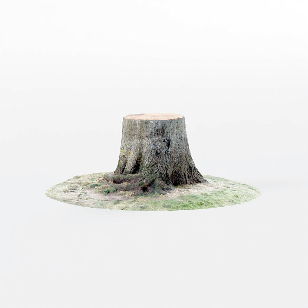 Tree Stumps 6 Photoscanned Low-Poly Low-poly 3D model_3