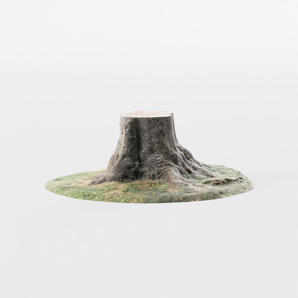 Tree Stumps 6 Photoscanned Low-Poly Low-poly 3D model_1