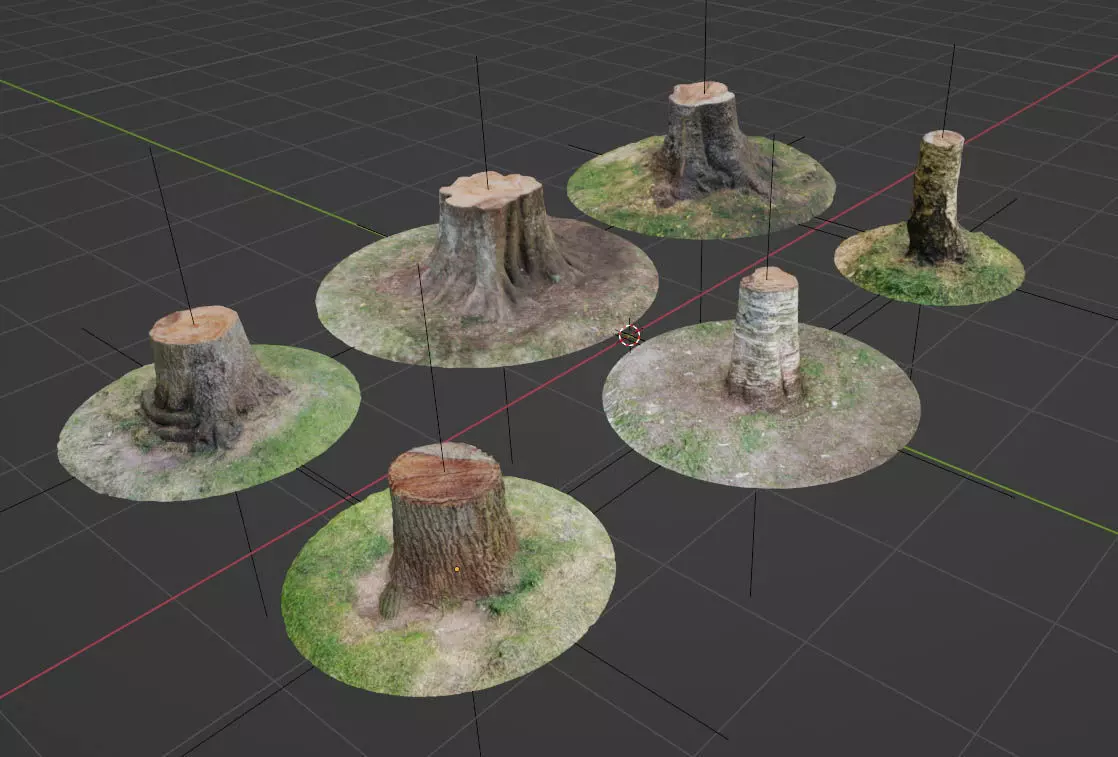 Tree Stumps 6 Photoscanned Low-Poly Low-poly 3D model_0