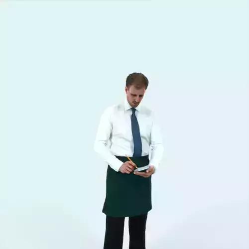 Mistery 25J Waiter Noting Working Man
