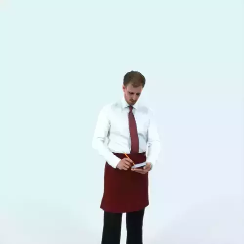 Mistery 25F Waiter Noting Working Man