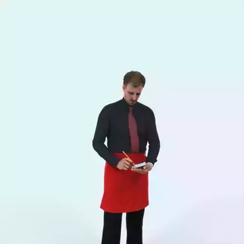 Mistery 25E Waiter Noting Working Man