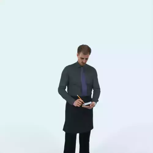 Mistery 25D Waiter Noting Working Man