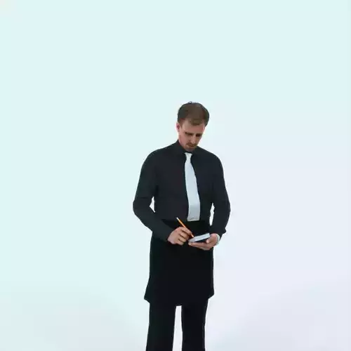 Mistery 25B Waiter Noting Working Man