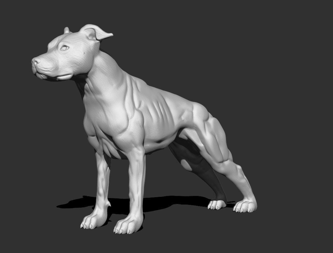 Pitbull  3D print model_1