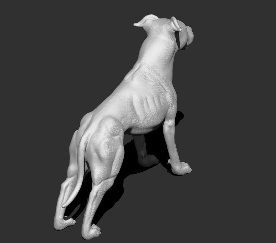 Pitbull  3D print model_3