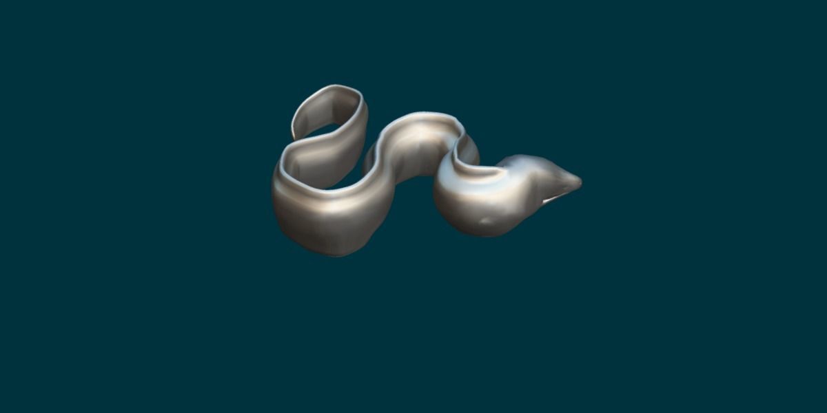 Moray Eel Low-poly 3D model_12