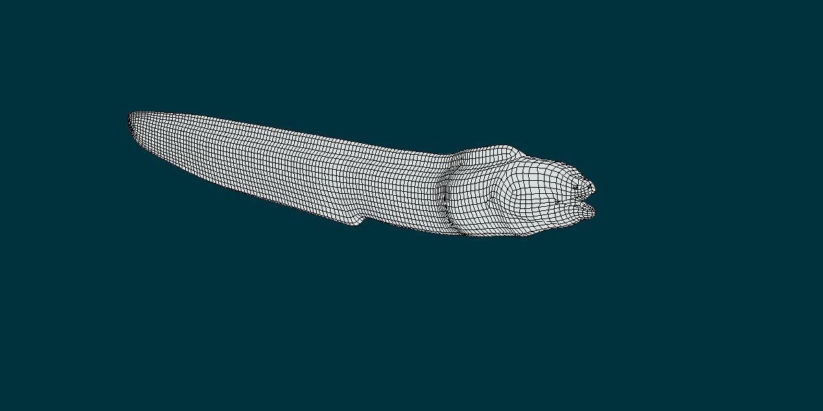 Moray Eel Low-poly 3D model_14