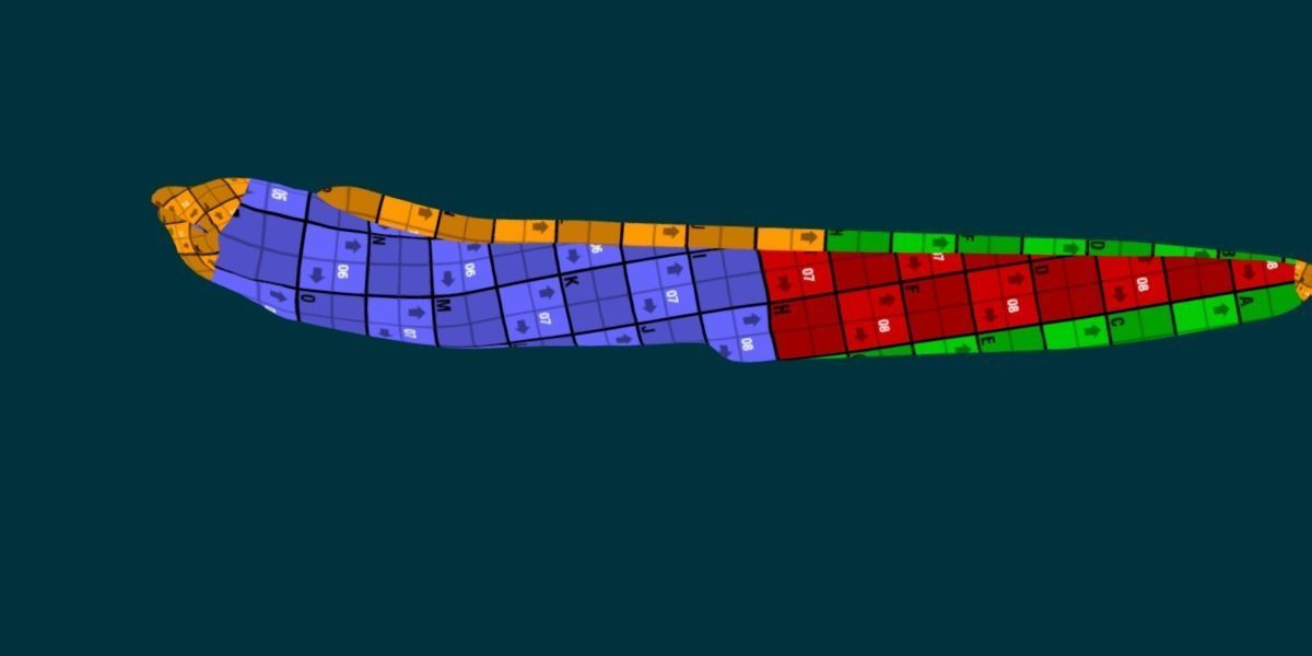 Moray Eel Low-poly 3D model_6