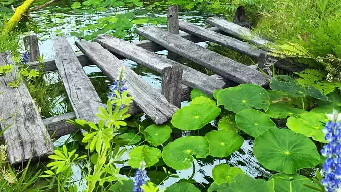 Small Pond -  Full Model Sketchup - V-ray Render 3D model