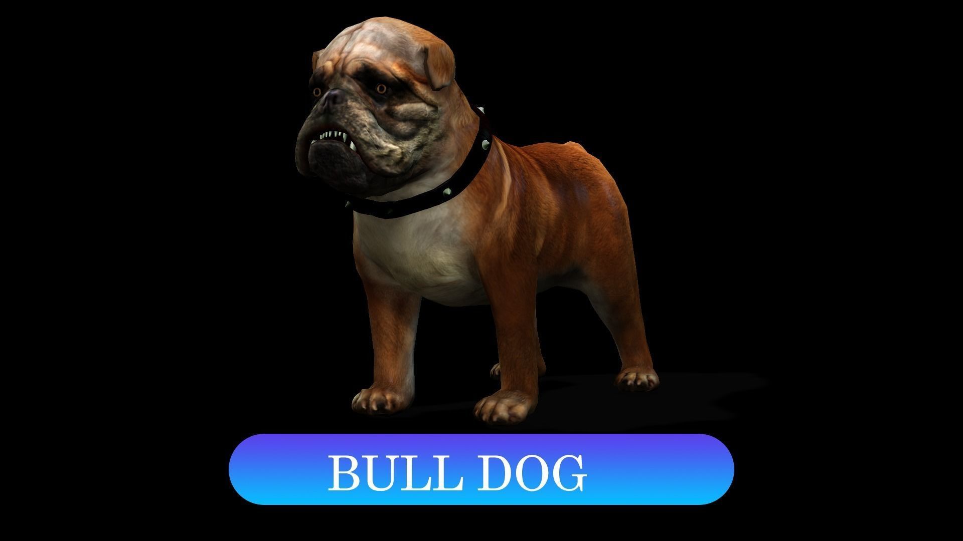 13 Dogs Pack 3D Model Collection Low-poly 3D model_3