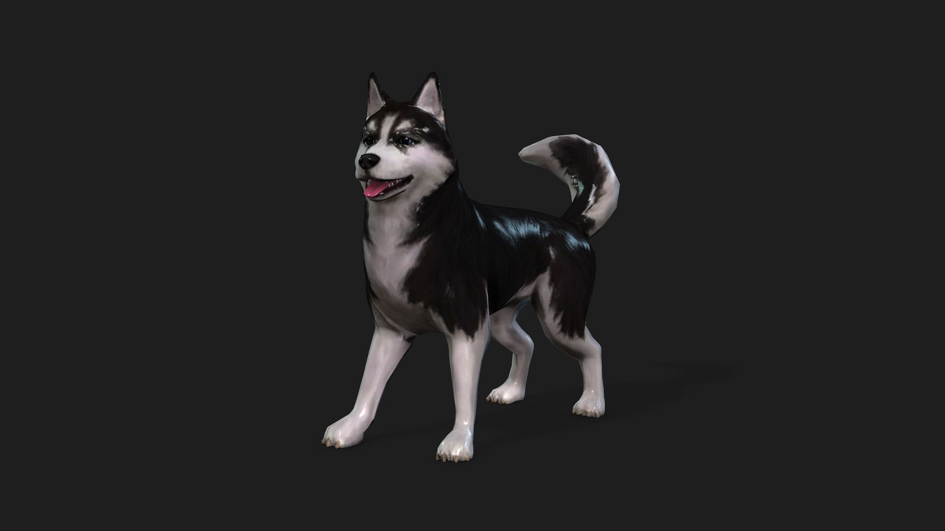 13 Dogs Pack 3D Model Collection Low-poly 3D model_12