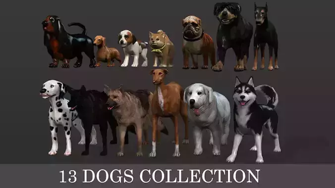 13 Dogs Pack 3D Model Collection Low-poly 3D model