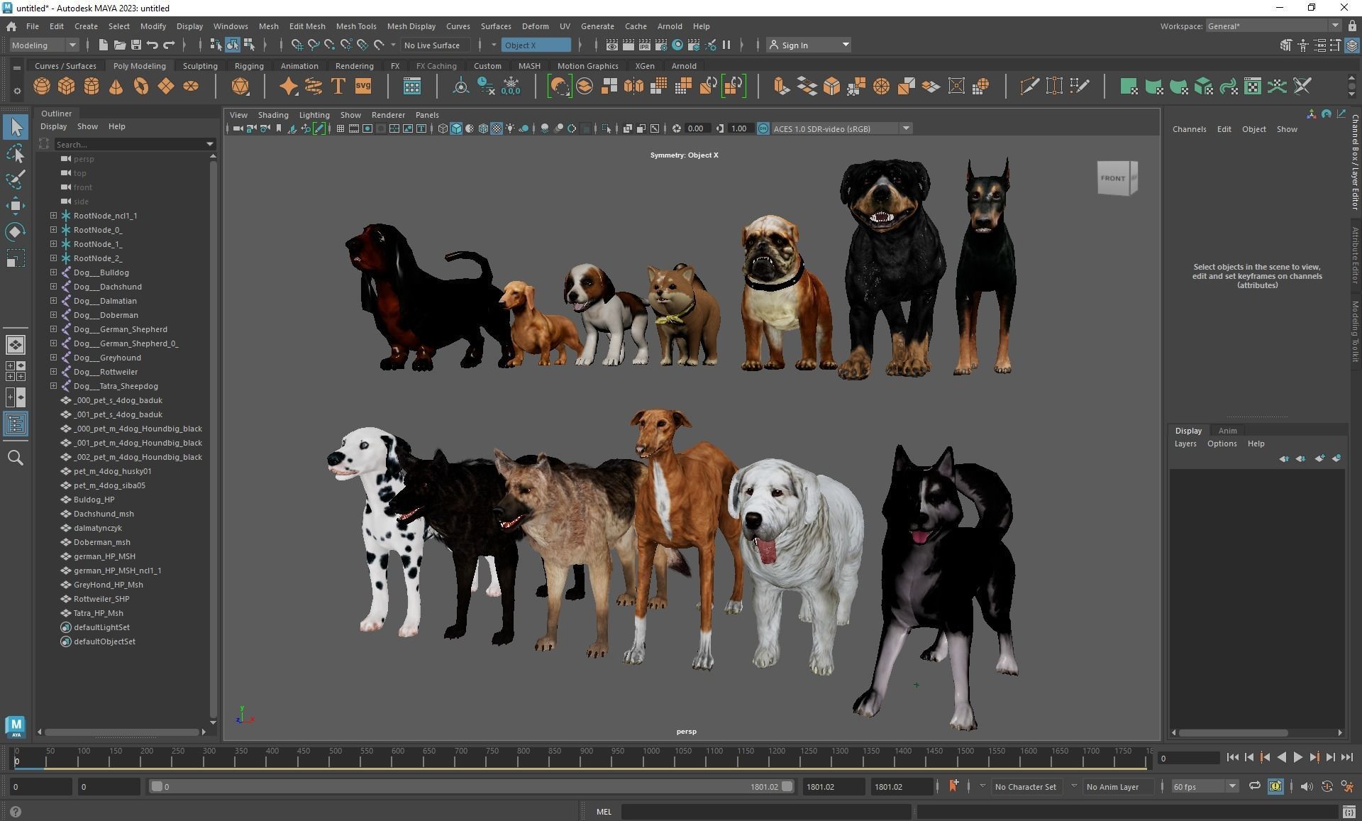 13 Dogs Pack 3D Model Collection Low-poly 3D model_1