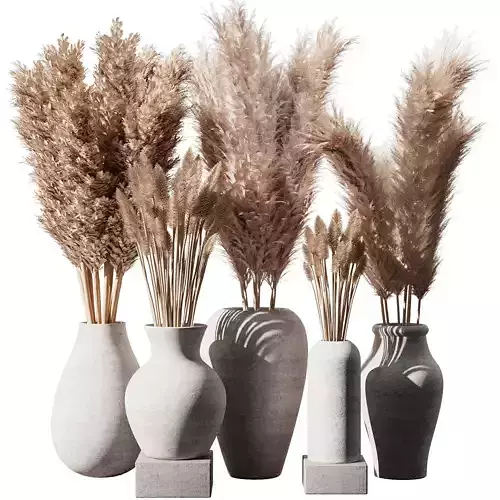 Indoor Plant Pampas Set