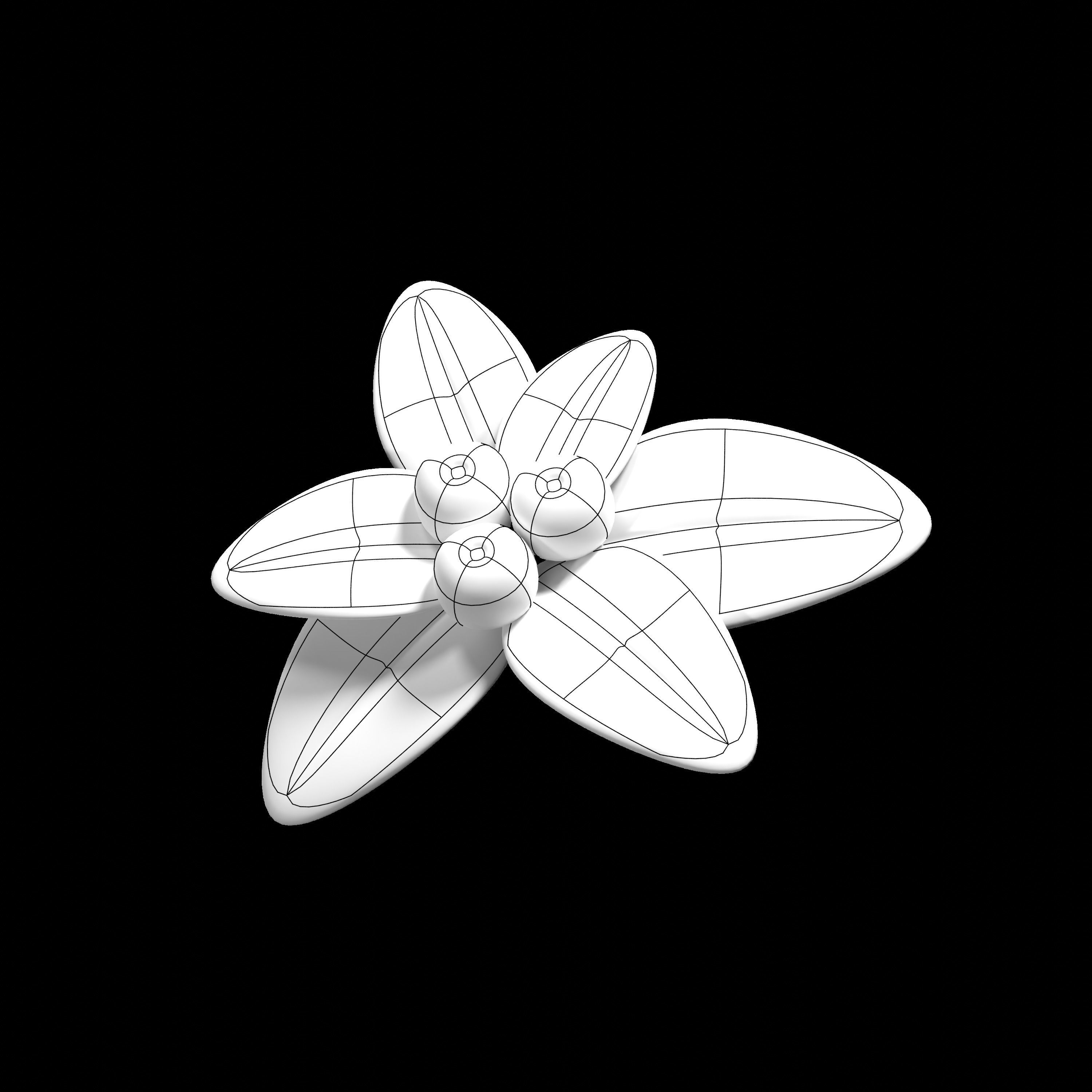 mistletoe 3D model_4