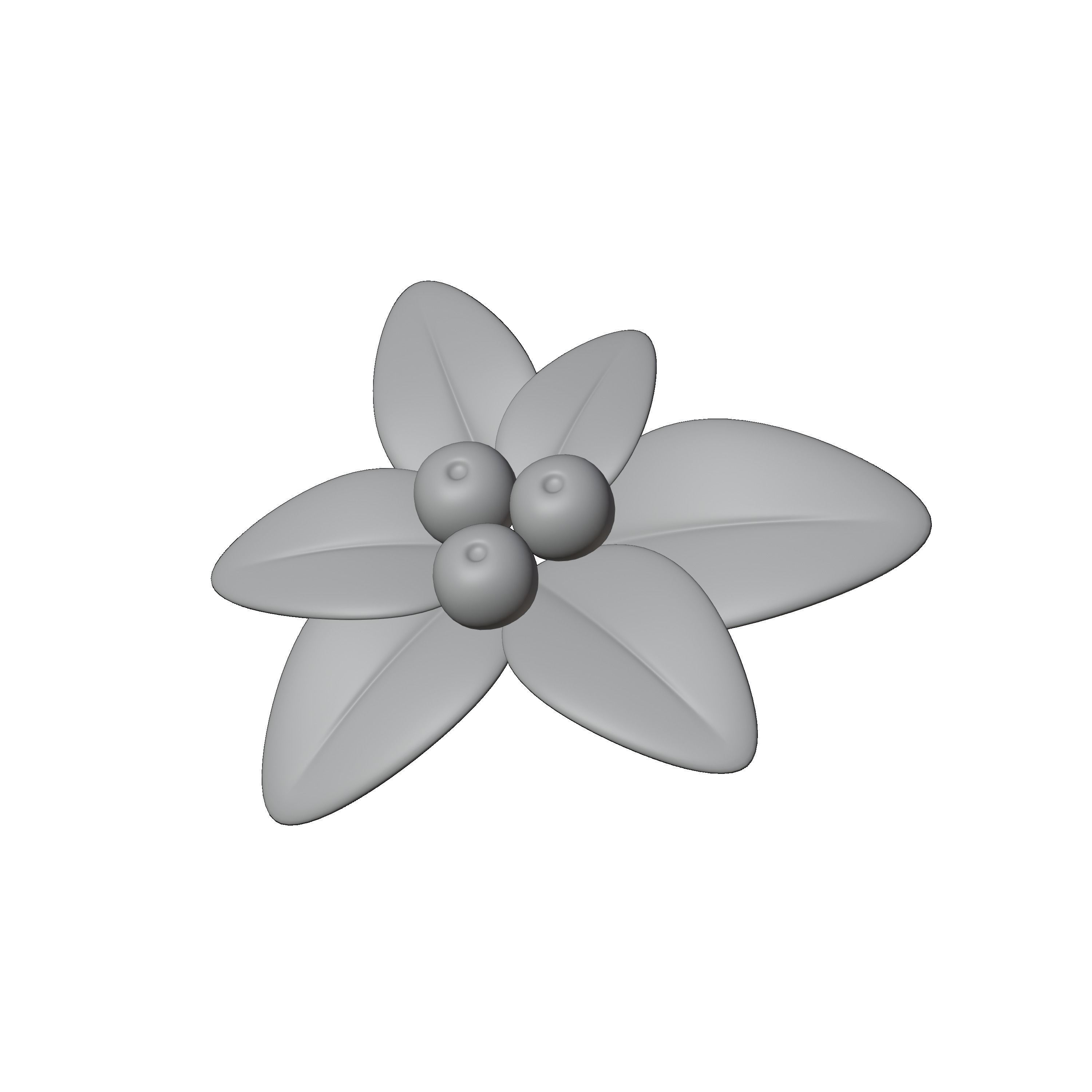 mistletoe 3D model_1