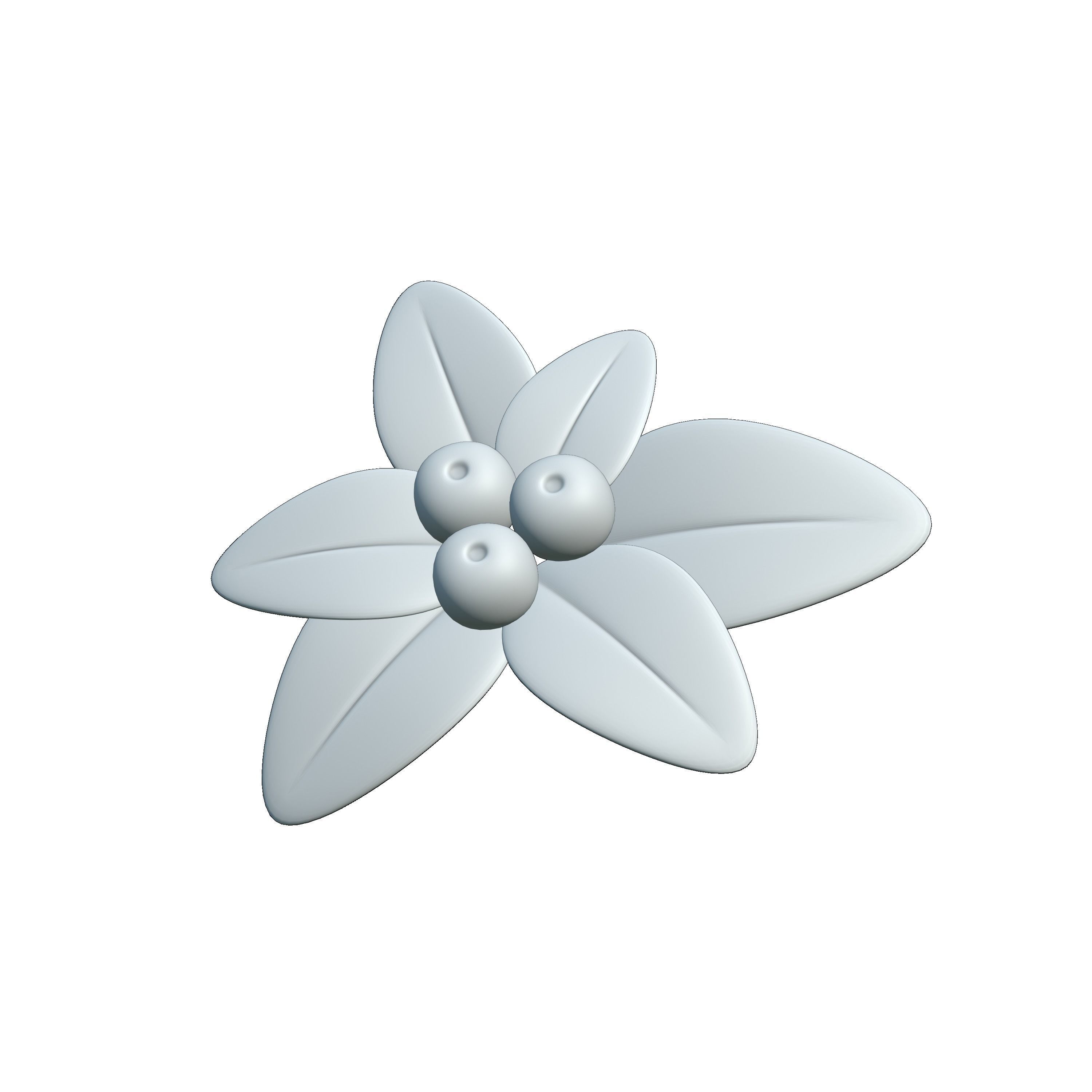 mistletoe 3D model_3