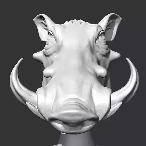 Warthog Head AM20 3D print model
