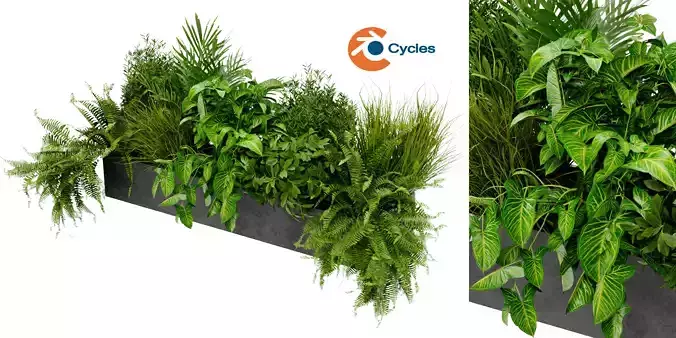 Collection plant vol 419 - blender model 