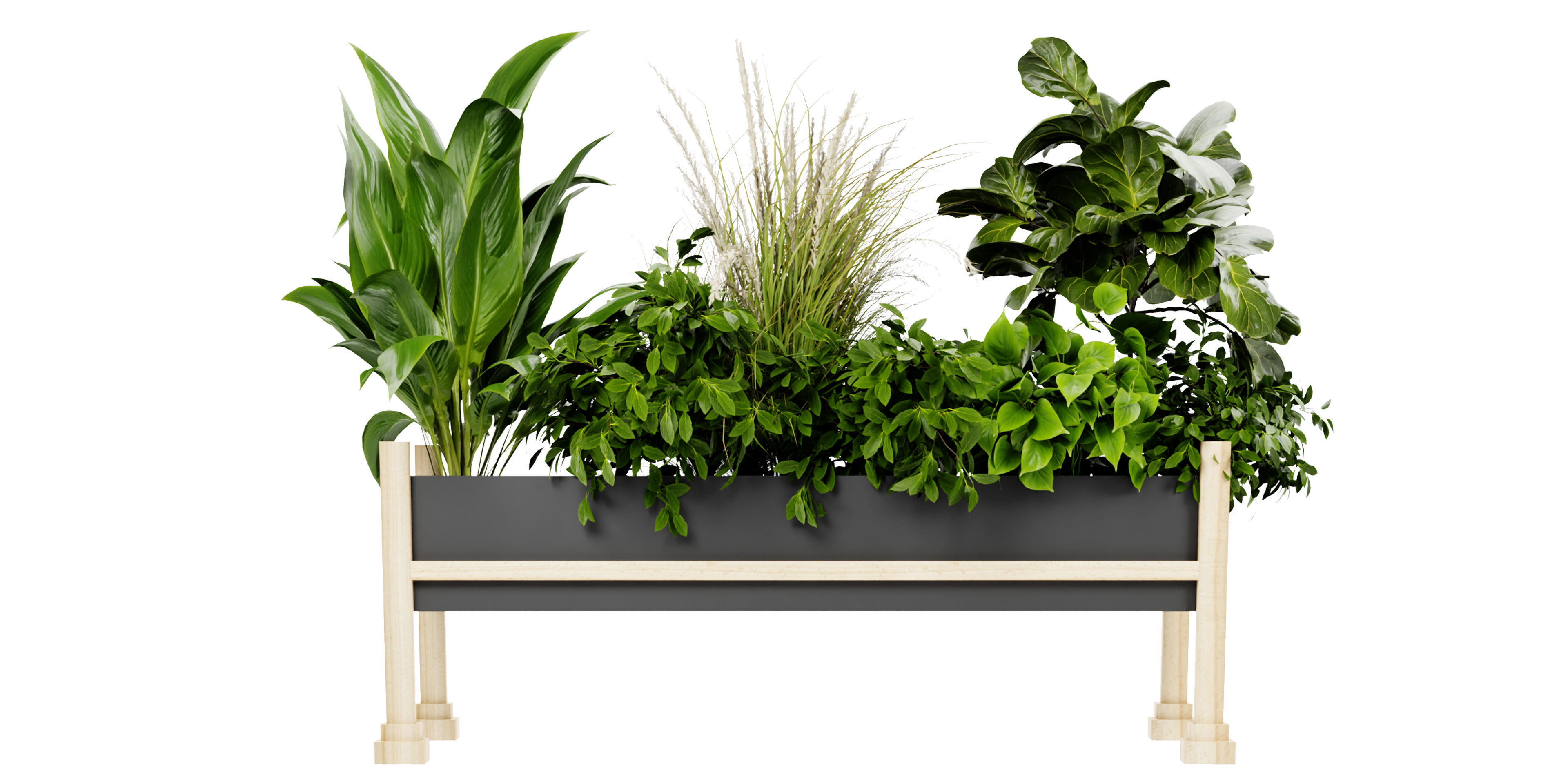 Collection plant vol 420 - blender model  3D model_3