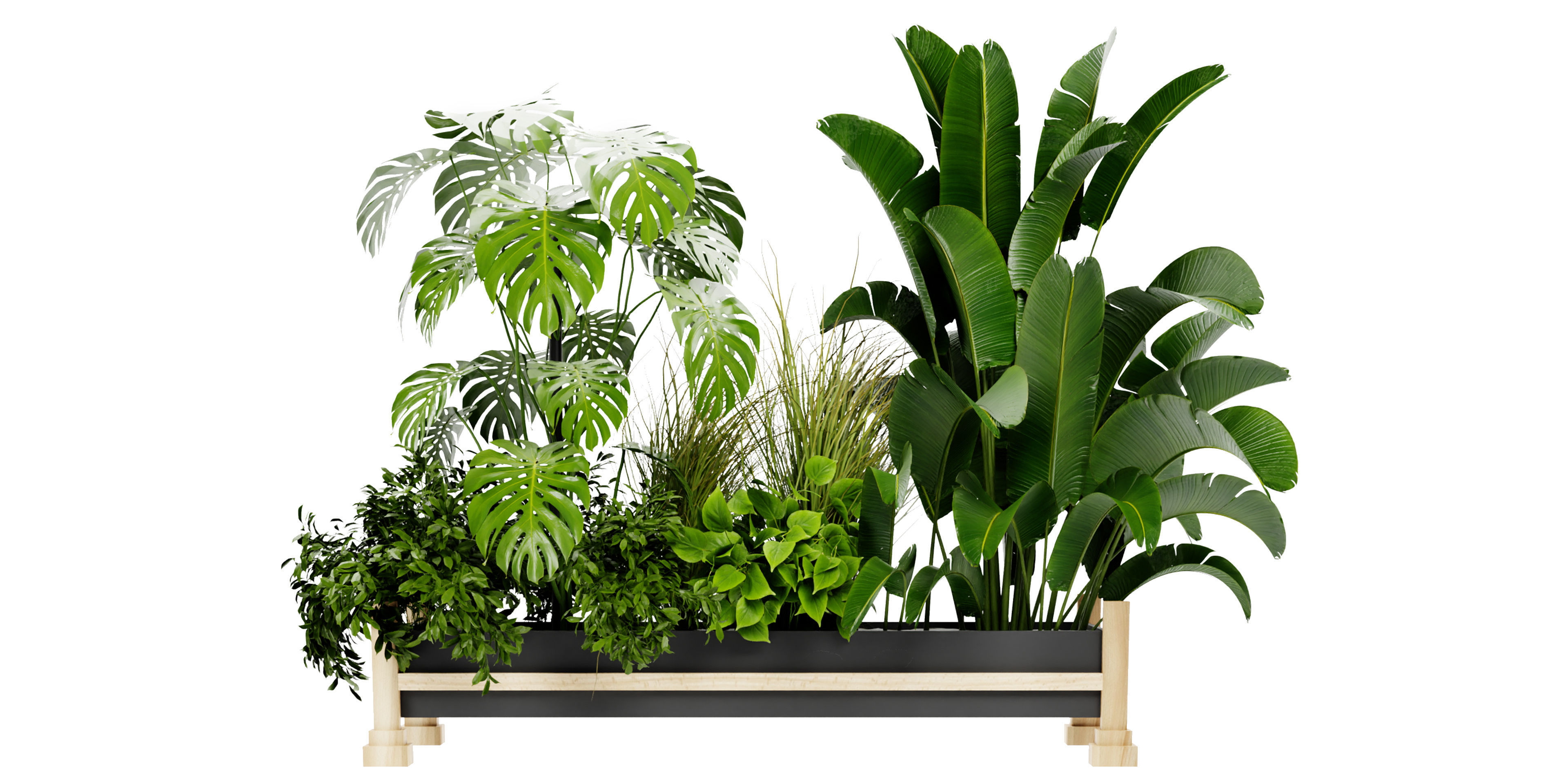 Collection plant vol 420 - blender model  3D model_2