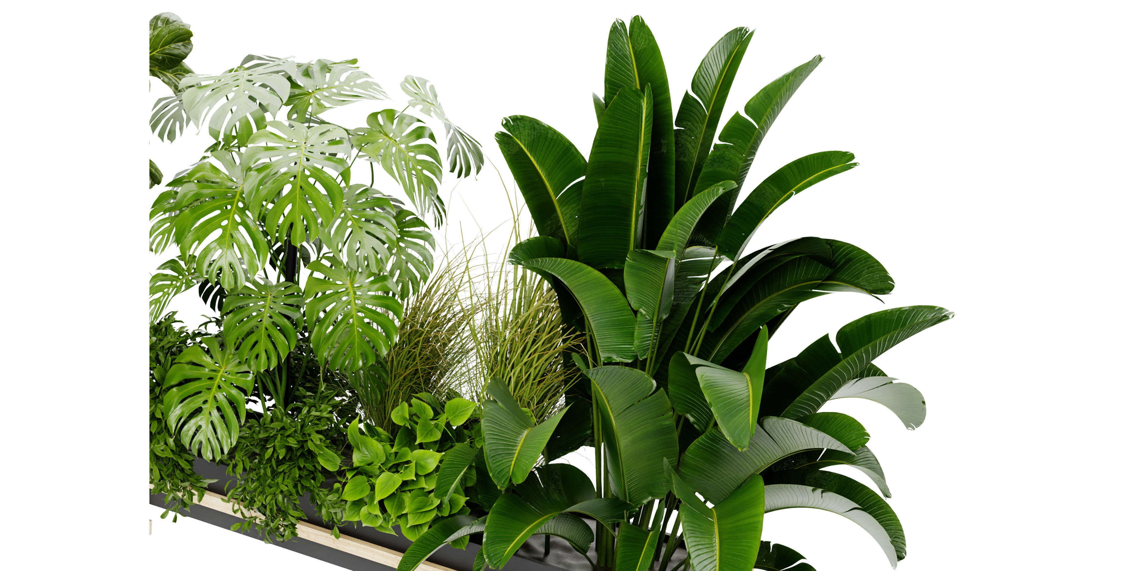 Collection plant vol 420 - blender model  3D model_4