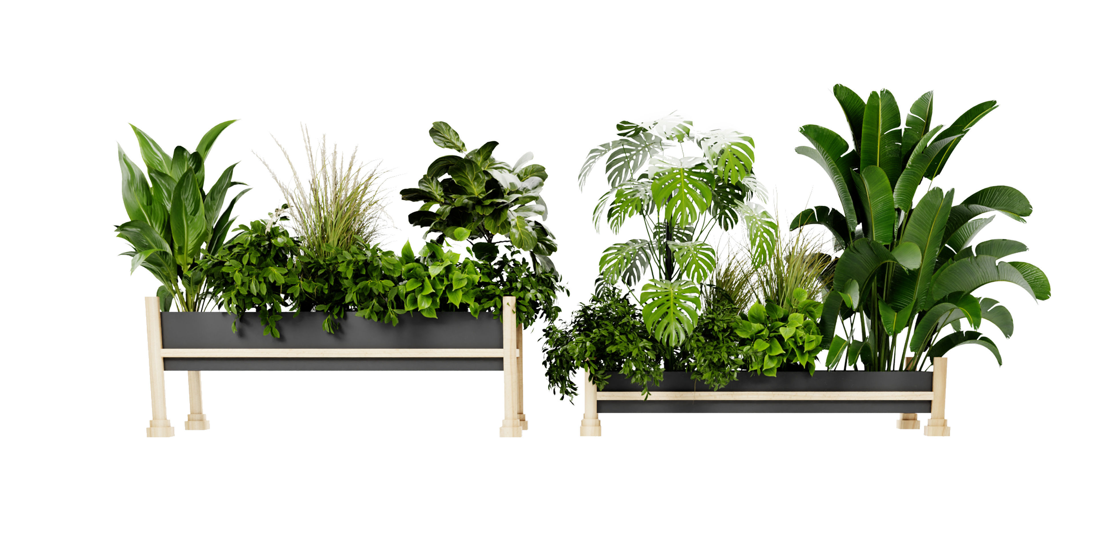 Collection plant vol 420 - blender model  3D model_1