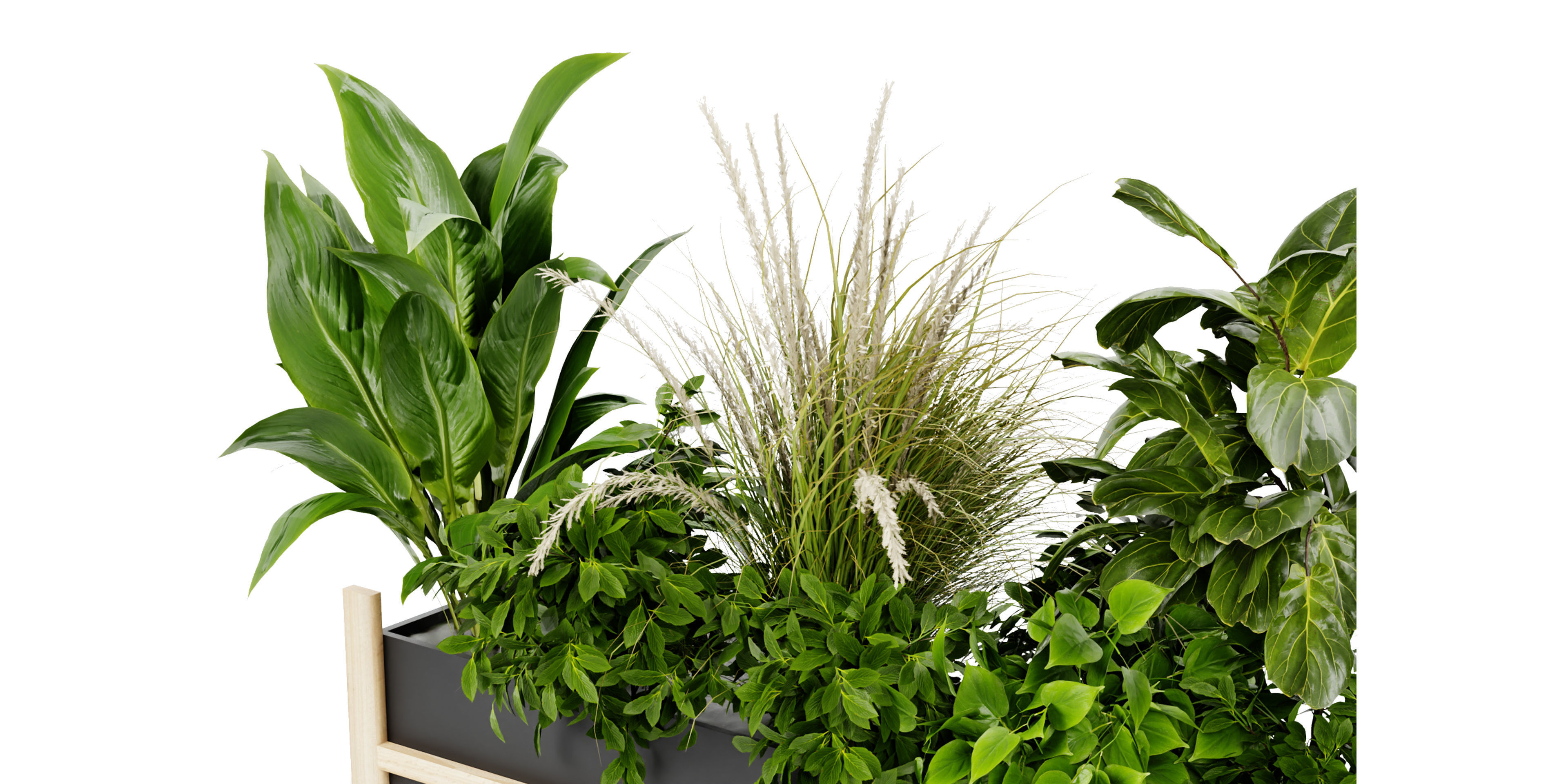 Collection plant vol 420 - blender model  3D model_5