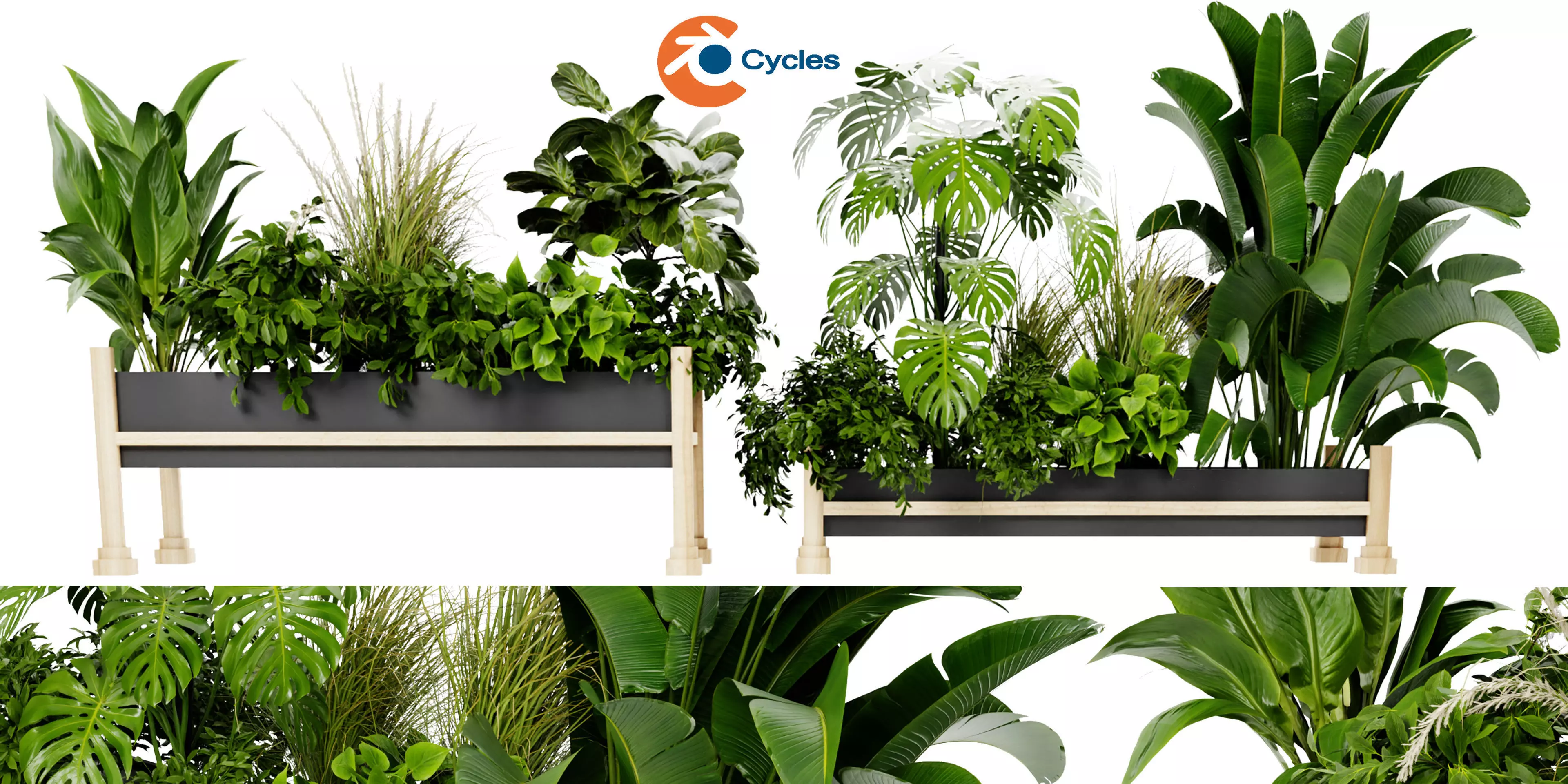 Collection plant vol 420 - blender model  3D model_0