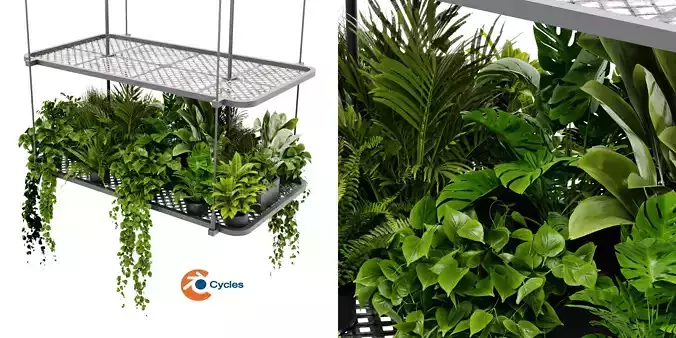 Collection plant vol 426 - blender model 