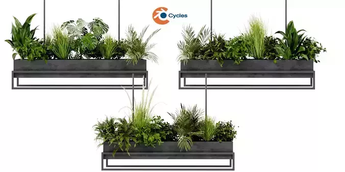 Collection plant vol 427 - blender model 