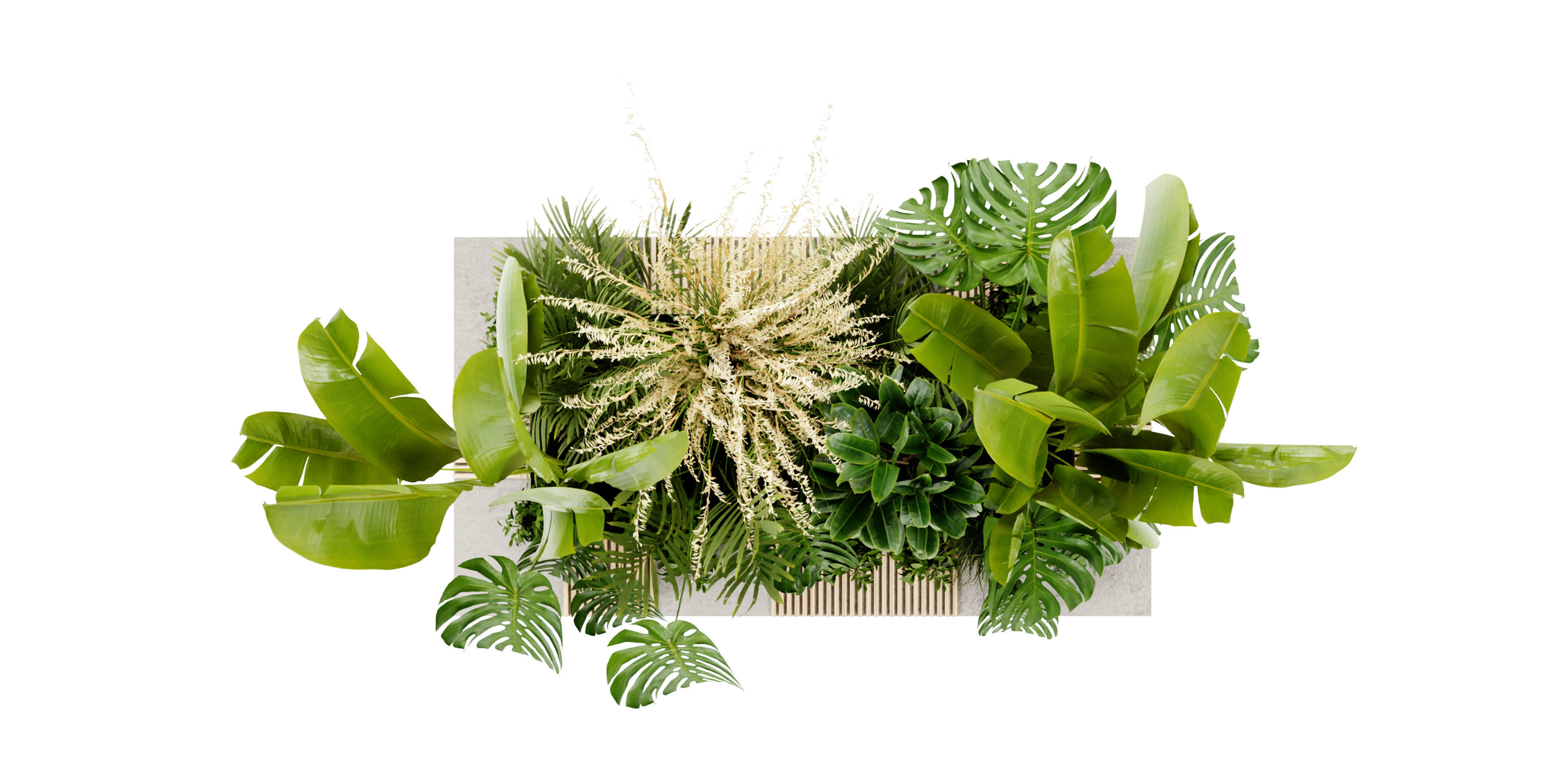 Collection plant vol 428 - blender model  3D model_5