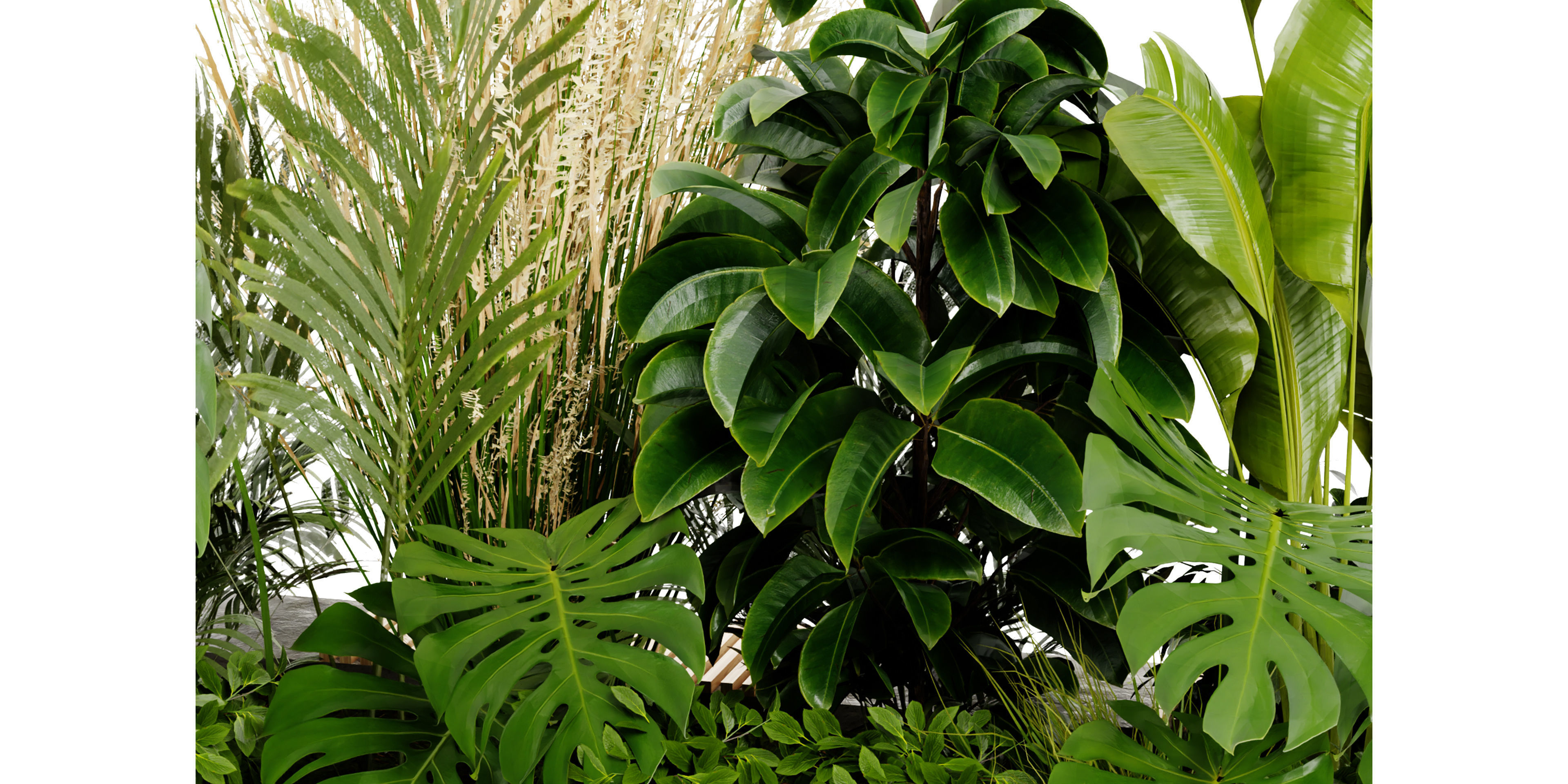 Collection plant vol 428 - blender model  3D model_2