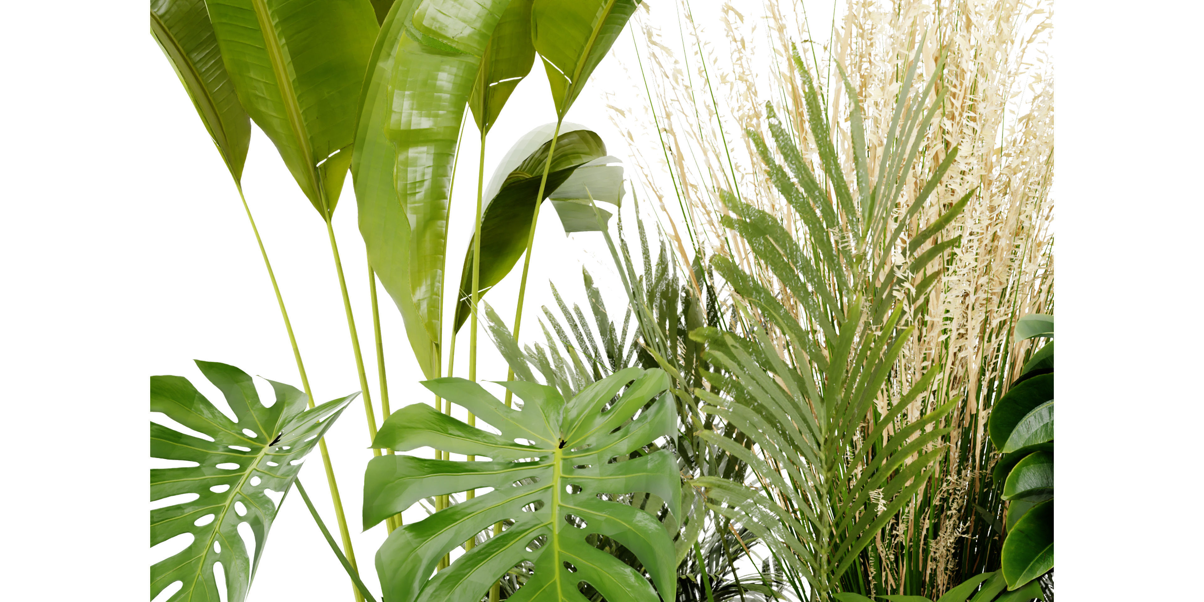 Collection plant vol 428 - blender model  3D model_3