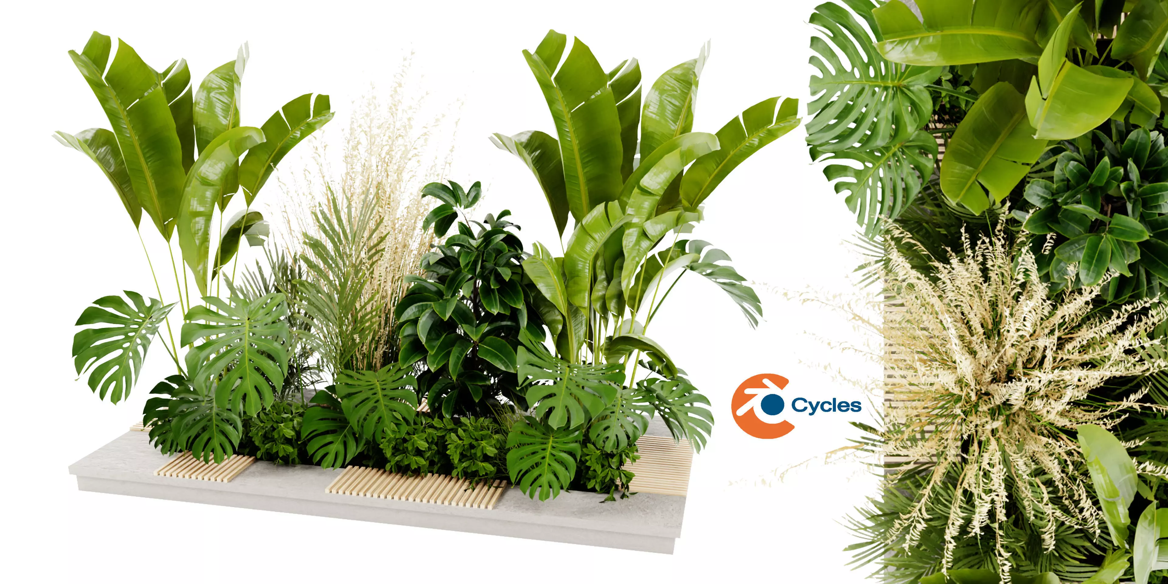 Collection plant vol 428 - blender model  3D model_0