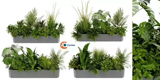 Collection plant vol 430 - blender model 