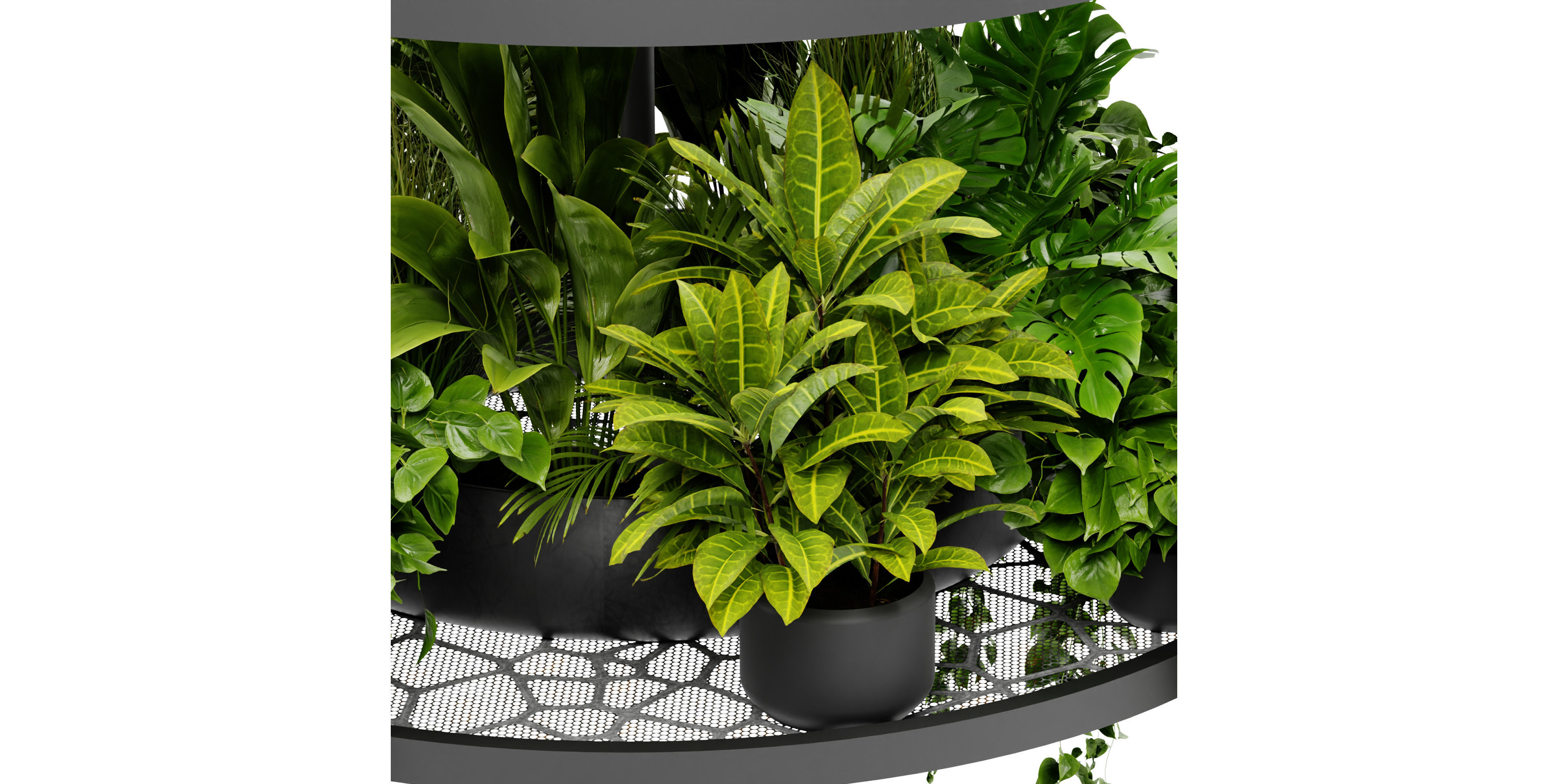 Collection plant vol 432 - blender model  3D model_2